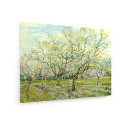 Tablou pe panza (canvas) - Vincent Van Gogh - The White Orchard AEU4-KM-CANVAS-451