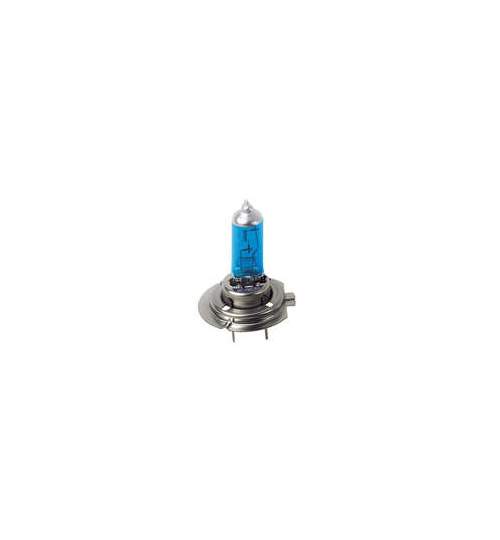 Bec halogen Blu-Xe  H7 100W PX26d 12V 2buc ManiaMall Cars