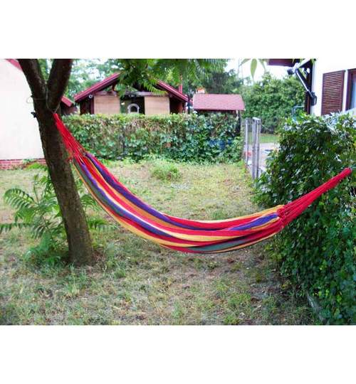 Hamac Single Multicolor pentru Curte sau Gradina, Dimensiuni 200x100cm cu Cablu si Sac Depozitare