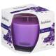 Lumanare parfumata Bolsius Jar True Scents 95/95 mm, Lavanda FMG-SK-2171634